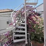 Ribar 1 نجيفيش